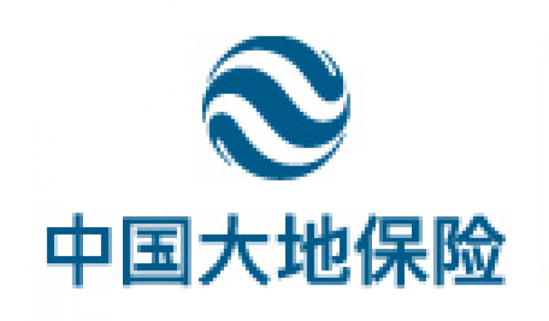 大地保险